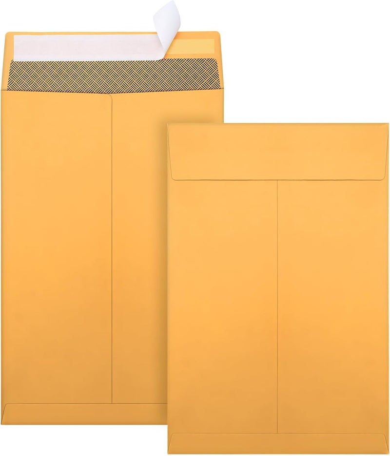 Outdoramic 6x9 Envelopes, 250 Pack Security Catalog Envelopes Self Seal, Small Brown Envelopes for Mailing, Organize, Storage, Home, Office - Image 1